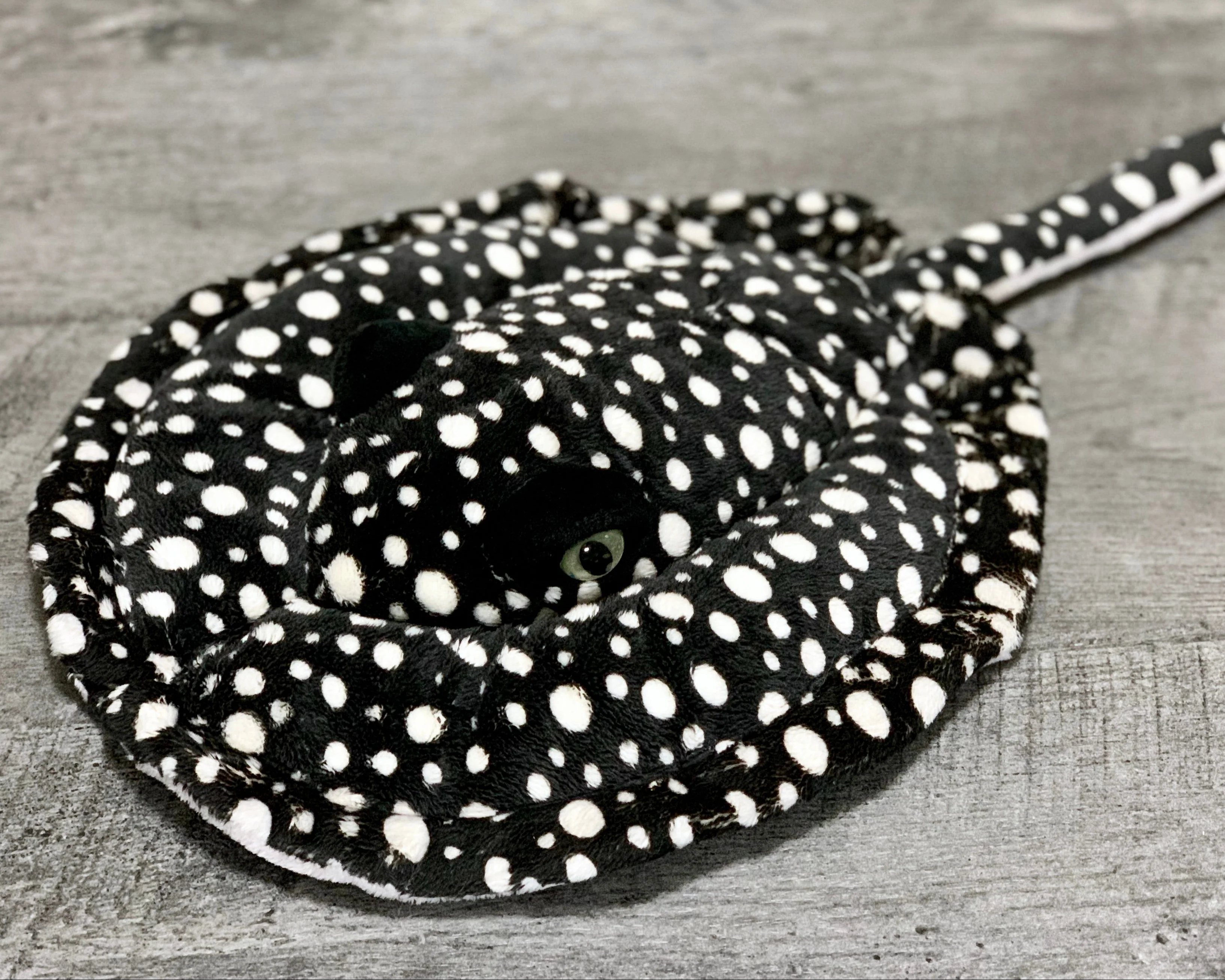 Favorite Travel Companions